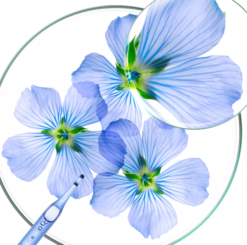 Клоран линия для тонких волос 